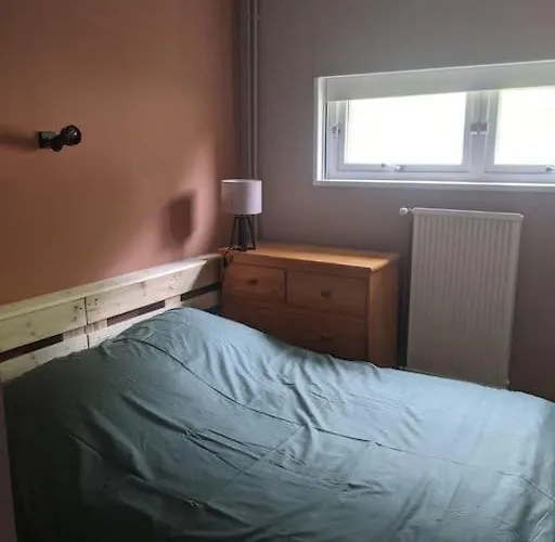 La Mongie - T2 4 A 6 Personnes, 45m2 Face Aux Pistes バニエール・ド・ビゴール