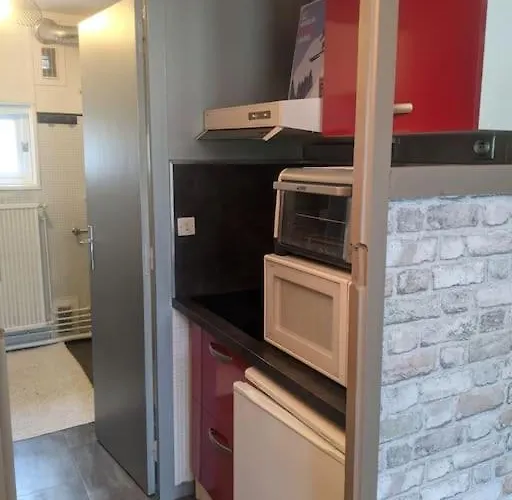 La Mongie - T2 4 A 6 Personnes, 45m2 Face Aux Pistes *